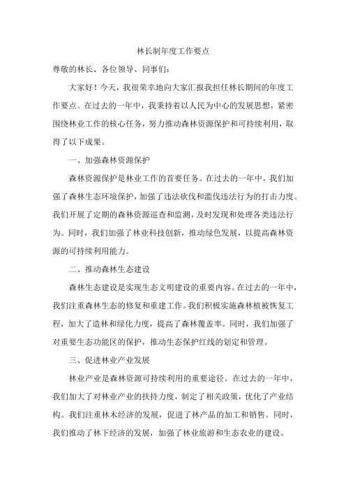 林长制年度工作要点