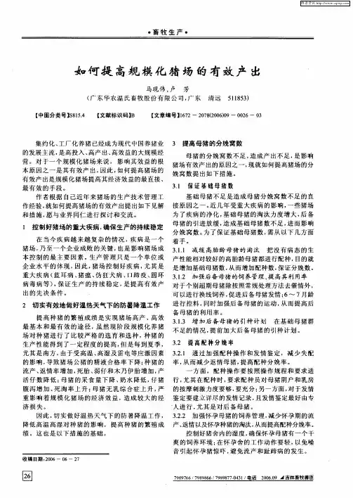 如何提高规模化猪场的有效产出