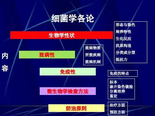 球菌