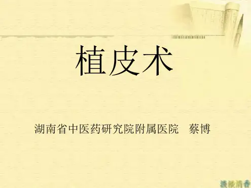 植皮术