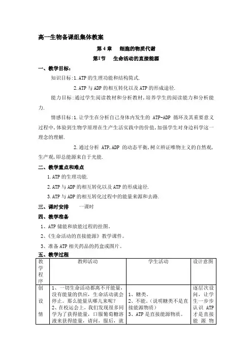 4.1生命活动的直接能源