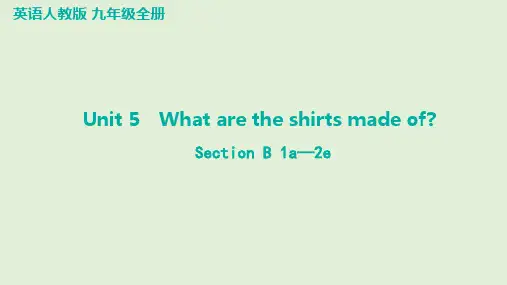 Unit5 SectionB1a—2e课件英语人教版九年级全册