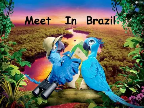 1Meet   In  Brazil 巴西英文介绍