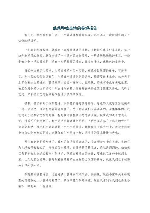 蔬菜种植基地的参观报告