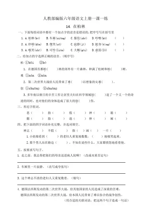 人教部编版小学六年级语文上册一课一练试题14.在柏林(含答案)