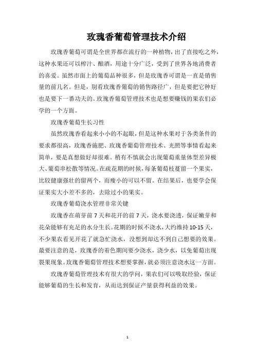 玫瑰香葡萄管理技术介绍