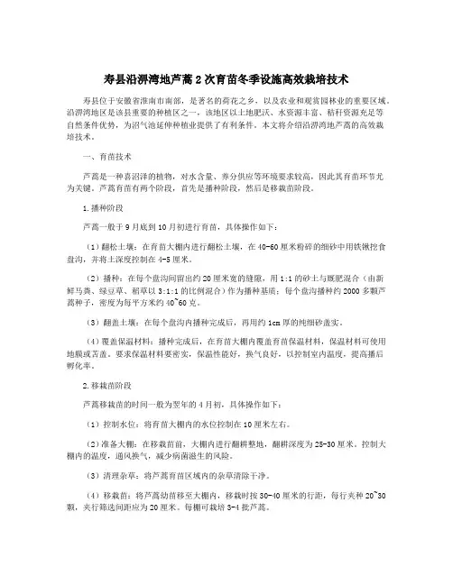 寿县沿淠湾地芦蒿2次育苗冬季设施高效栽培技术