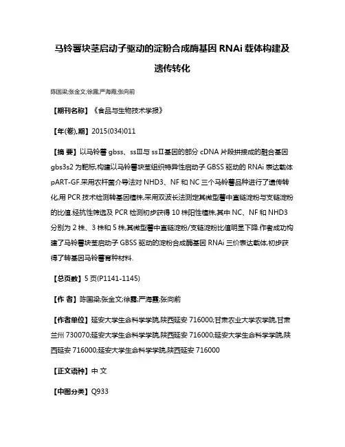 马铃薯块茎启动子驱动的淀粉合成酶基因RNAi载体构建及遗传转化