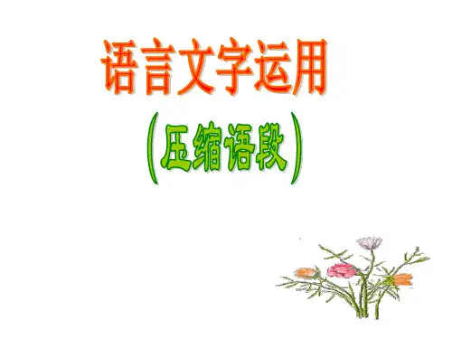 高考语文语言文字运用课件(2019年10月)