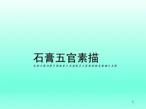 石膏五官素描介绍