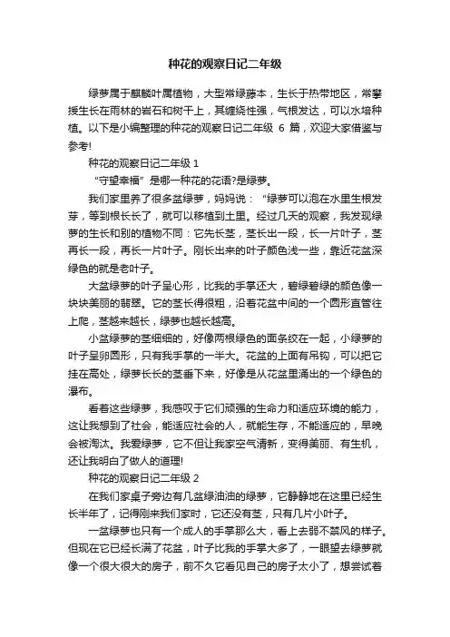 种花的观察日记二年级