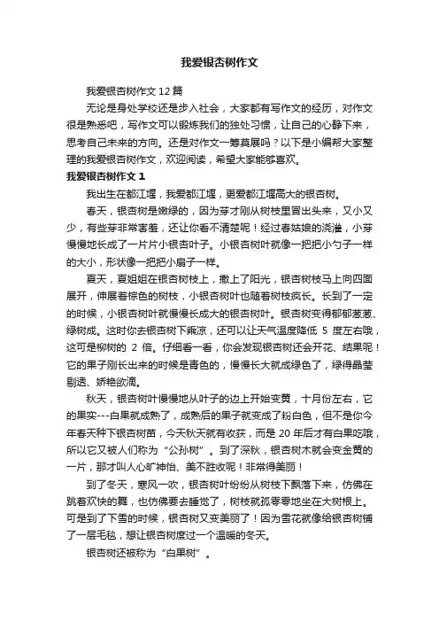 我爱银杏树作文
