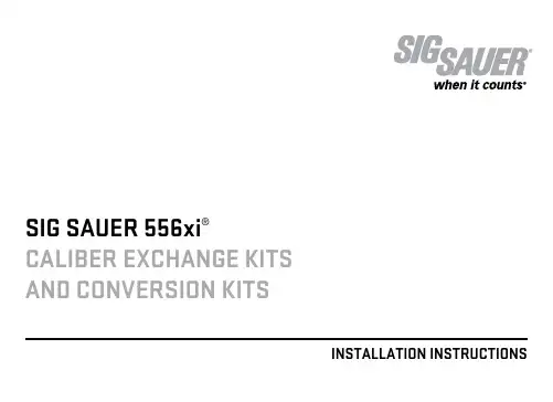 SIG SAUER 556xi