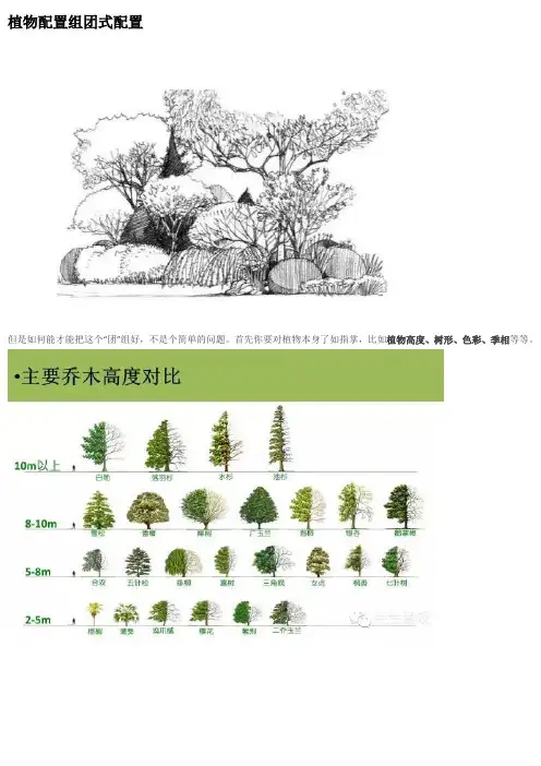 植物配置组团式配置