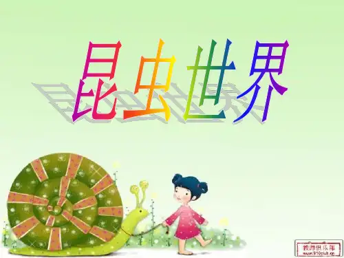 昆虫王国-岭南版一年级下册PPT