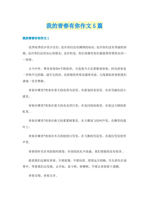 我的青春有你作文5篇