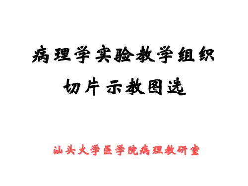 病理学实验教学组织切片示教图选