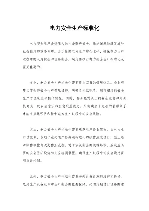 电力安全生产标准化