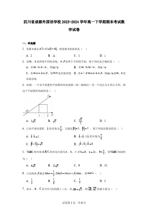 四川省成都外国语学校2023-2024学年高一下学期期末考试数学试卷