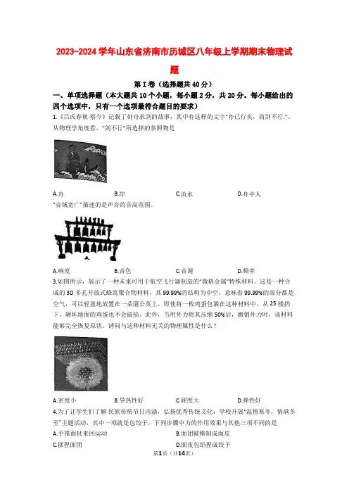 20232024学年山东省济南市历城区八年级上学期期末物理试题