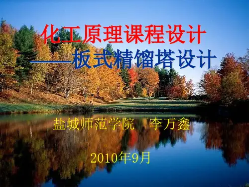 精馏塔(板式)设计