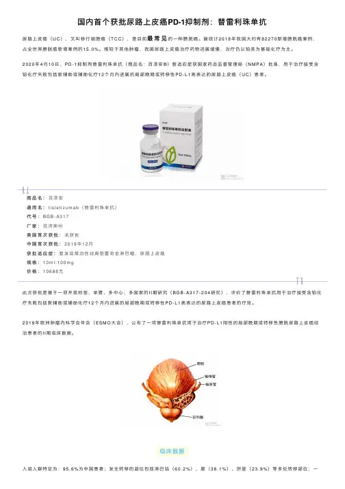 国内首个获批尿路上皮癌PD-1抑制剂：替雷利珠单抗