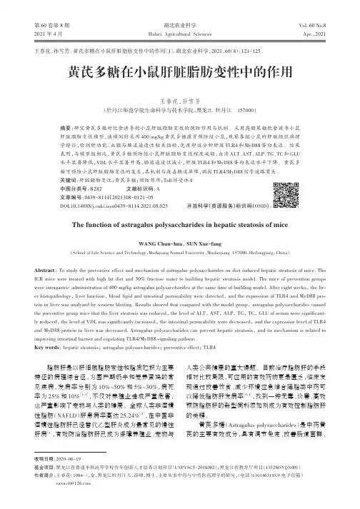 黄芪多糖在小鼠肝脏脂肪变性中的作用