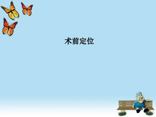 术前定位PPT课件