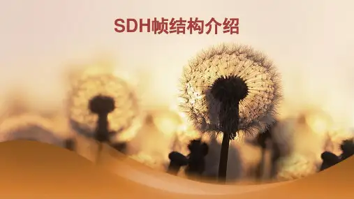 SDH帧结构介绍