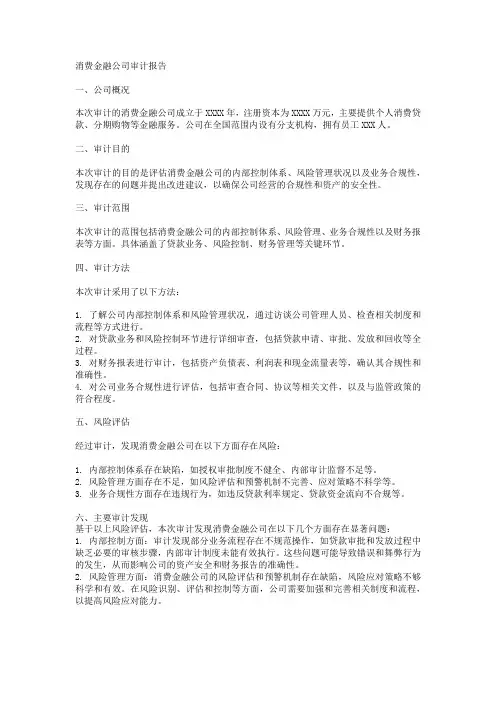 消费金融公司 审计报告
