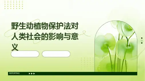 野生动植物保护法对人类社会的影响与意义