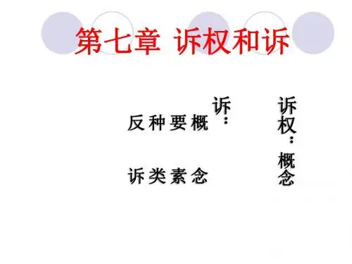 诉权与诉讼权利的关系