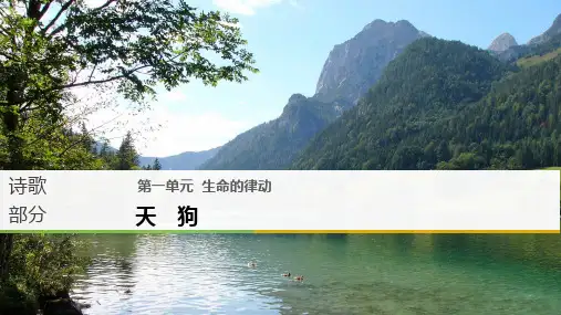 生命的律动ppt3(4份) 人教课标版1