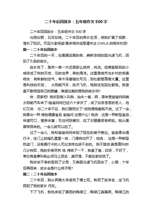 二十年后回故乡：五年级作文500字