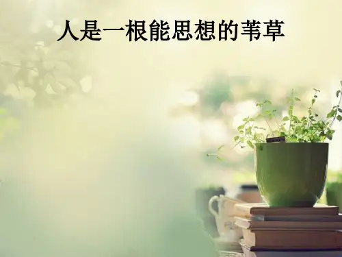 《人是一根能思想的苇草》PPT