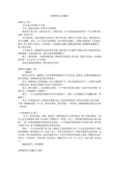 动物观察日记300字
