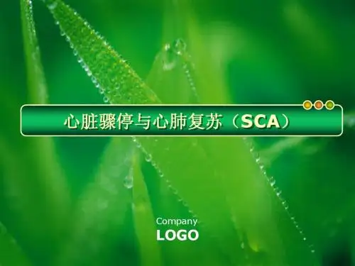 心脏骤停与心肺复苏(医学PPT课件