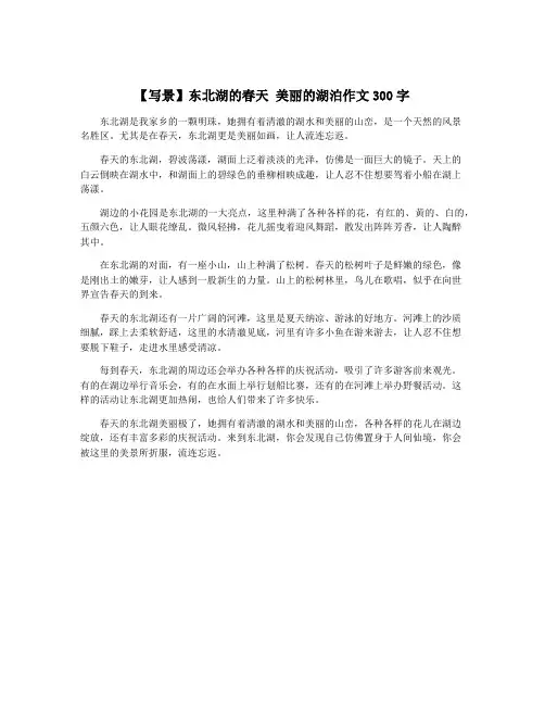 【写景】东北湖的春天 美丽的湖泊作文300字