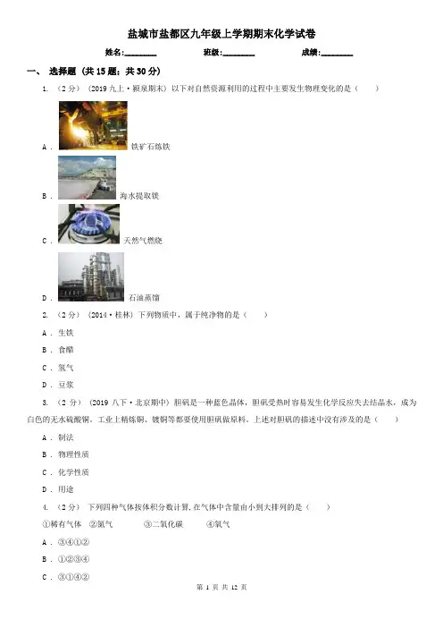 盐城市盐都区九年级上学期期末化学试卷