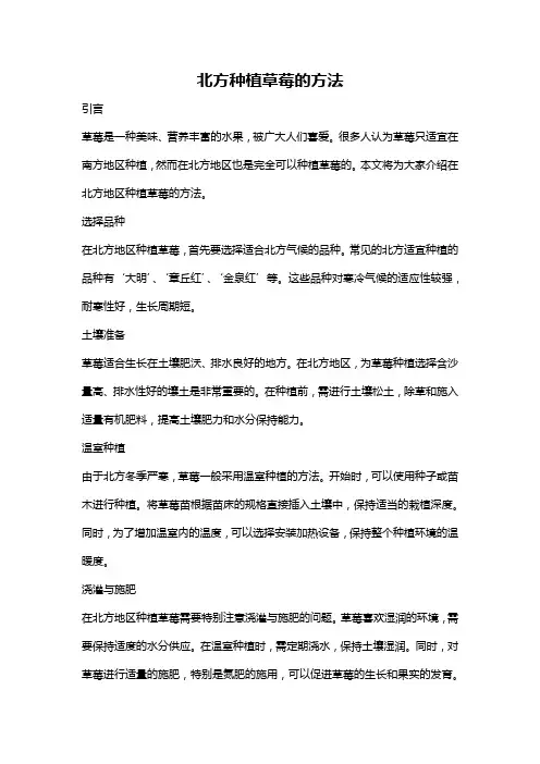 北方种植草莓的方法