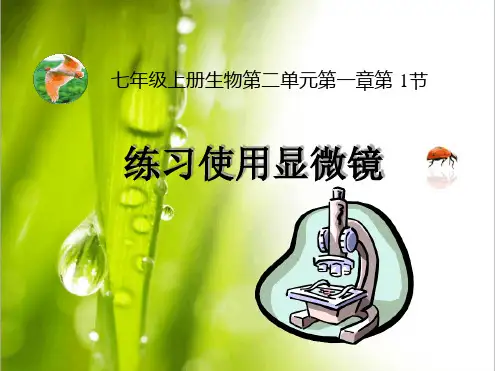 七年级上生物人教版第2单元第1章第1节练习使用显微镜共33张