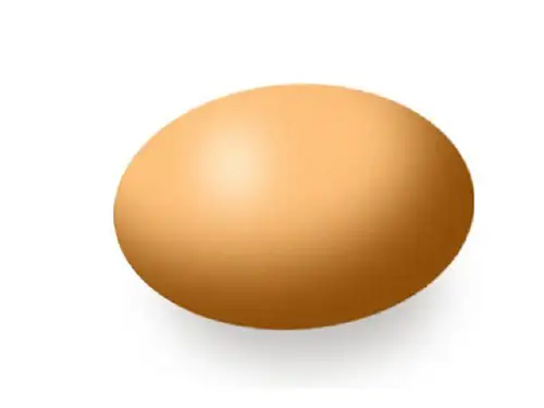 建筑结构：薄壳结构