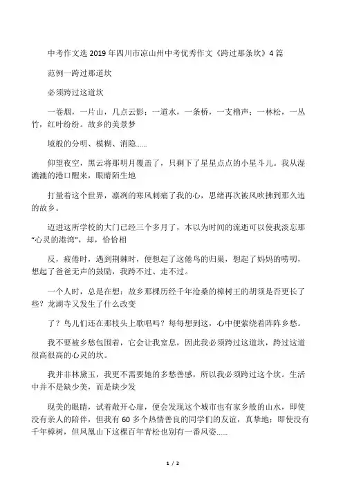 中考作文选2019年四川市凉山州中考优秀作文《跨过那条坎》4篇