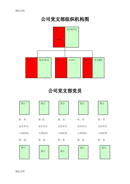 最新公司党支部组织机构图