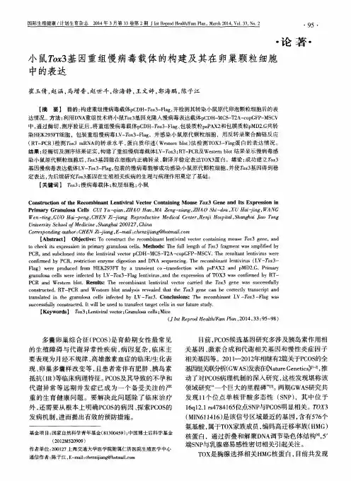 小鼠 Tox3 基因重组慢病毒载体的构建及其在卵巢颗粒细胞中的表达