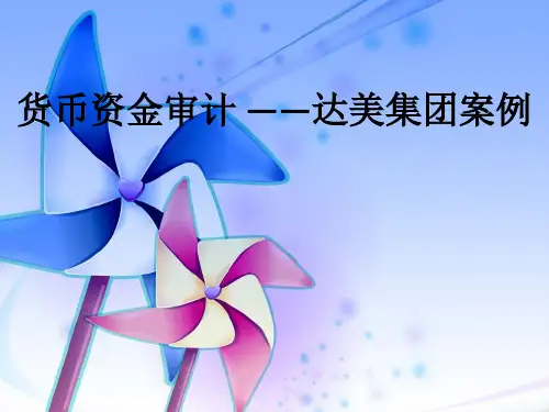 达美集团货币资金案例