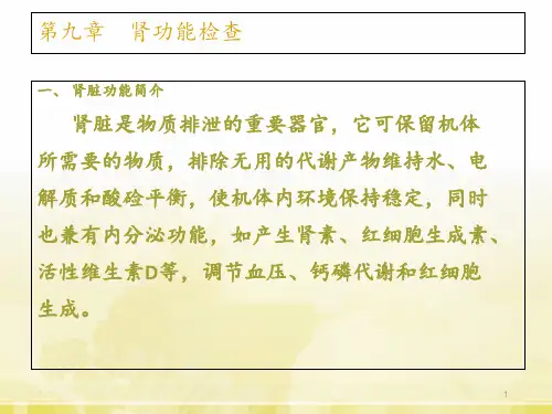 第十章-肾功能检查  ppt课件