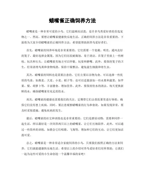 蜡嘴雀正确饲养方法
