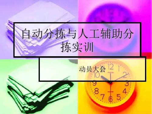 自动分拣与人工辅助分拣
