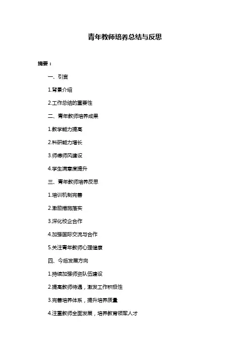 青年教师培养总结与反思